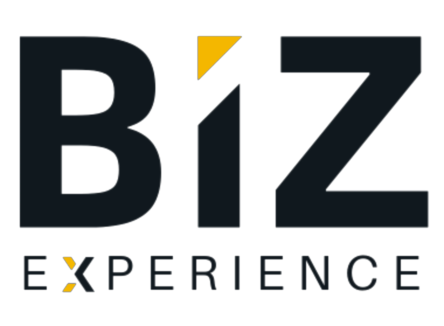 BIZ Experience