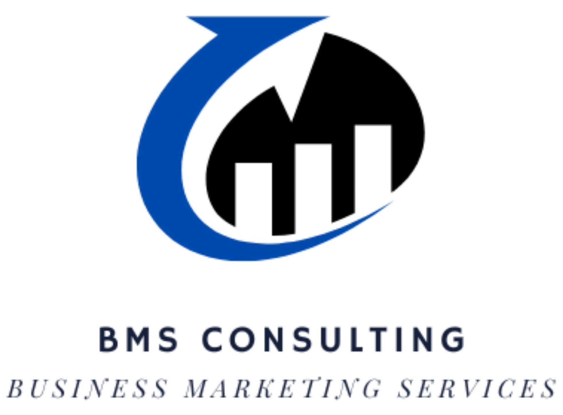BMS Consulting